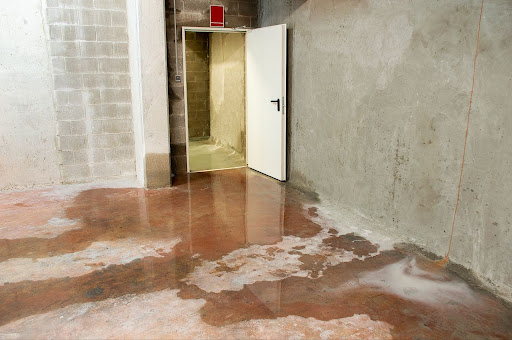 Signs of Water Leaks: Stop Costly Damage at Home